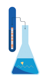 LUMI-CELL for Estrogen (ERα activity) testing