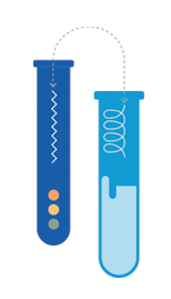 CALUX Bioassay for Dioxin (AhR) screening