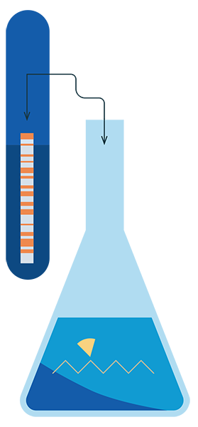 LUMI-CELL for Estrogen (ERα activity) testing